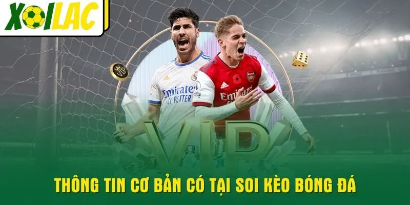 thong-tin-co-ban-co-tai-soi-keo-bong-da