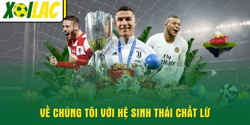 ve-chung-toi-voi-he-sinh-thai-chat-lu